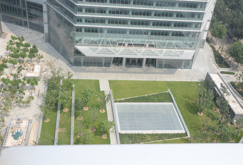 融科智地联想园区B座综合楼园林绿化分包工程