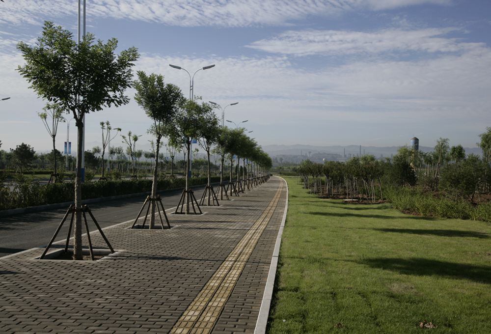 山西盂县金龙街与水神山路交汇处绿化工程
