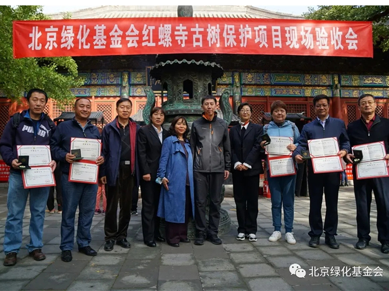 红螺寺古树保护项目顺利完成