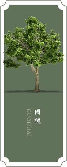 国槐